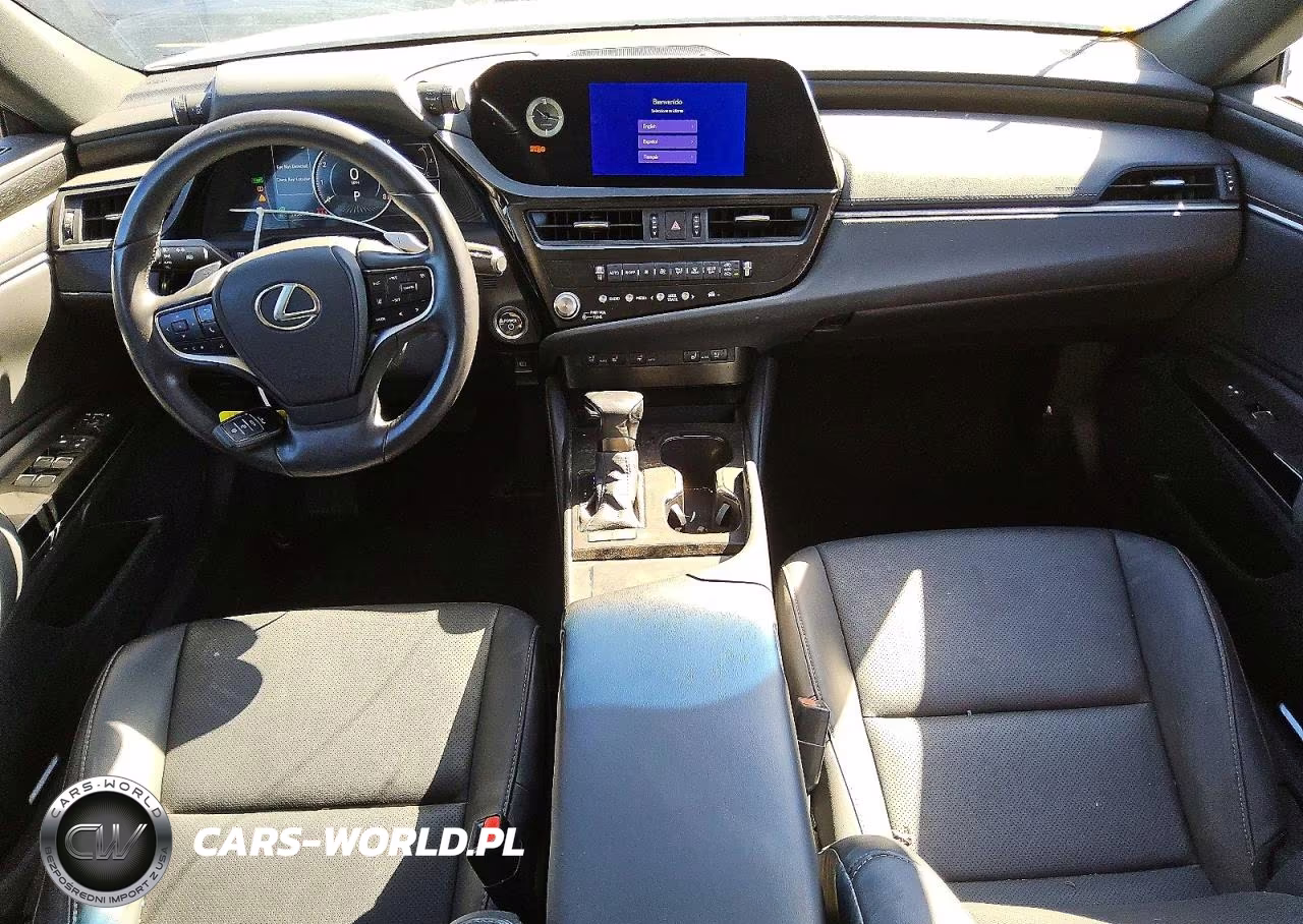 2024 Lexus Es 300H Base VIN:58ADA1C10RU045393 - 8