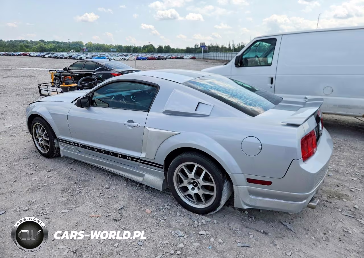 2006 Ford Mustang VIN:1ZVFT80N965164481 - 2