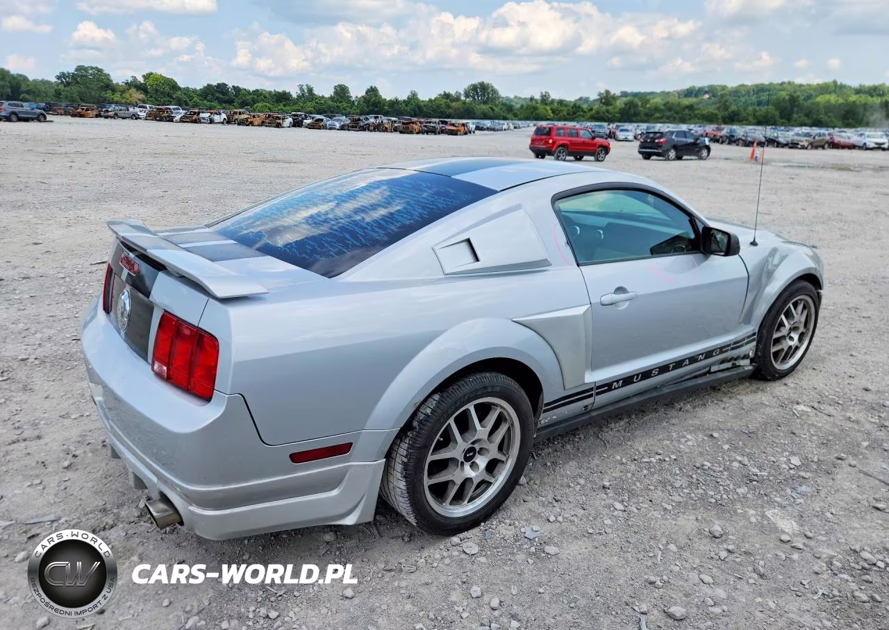 2006 Ford Mustang VIN:1ZVFT80N965164481 - 3