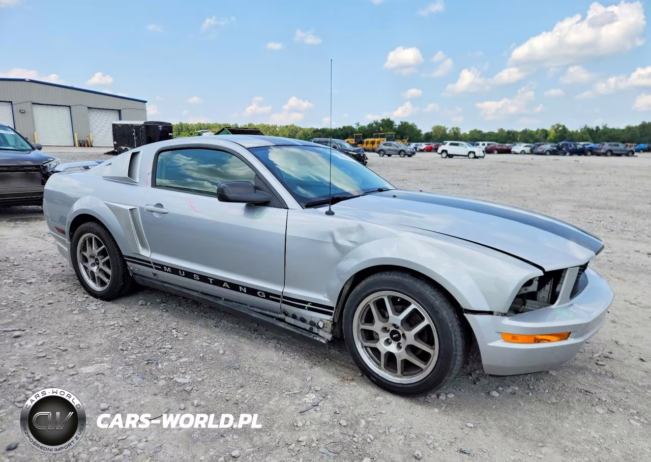 2006 Ford Mustang VIN:1ZVFT80N965164481 - 4