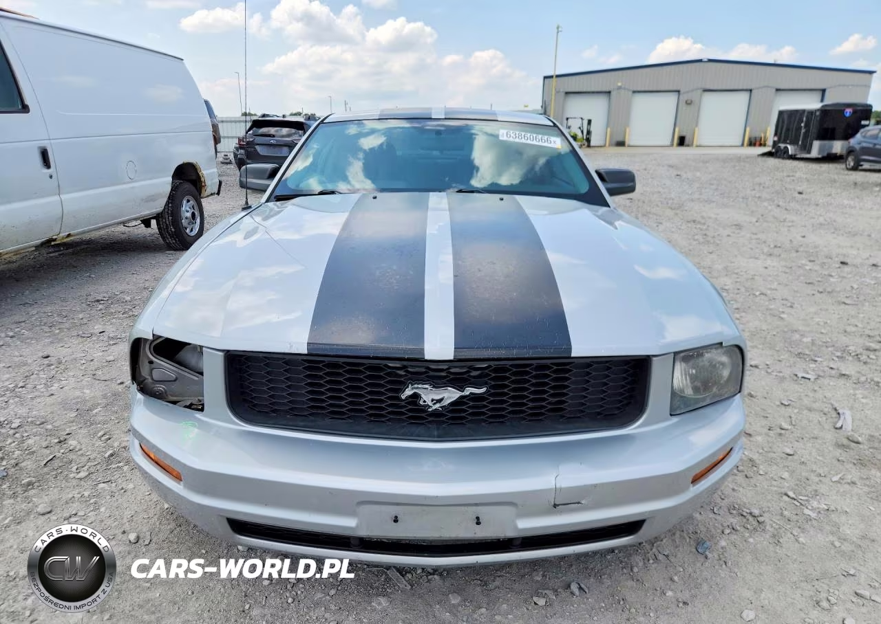 2006 Ford Mustang VIN:1ZVFT80N965164481 - 5