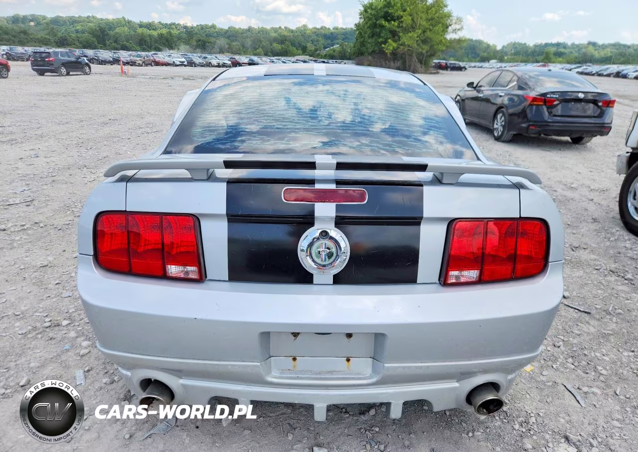 2006 Ford Mustang VIN:1ZVFT80N965164481 - 6