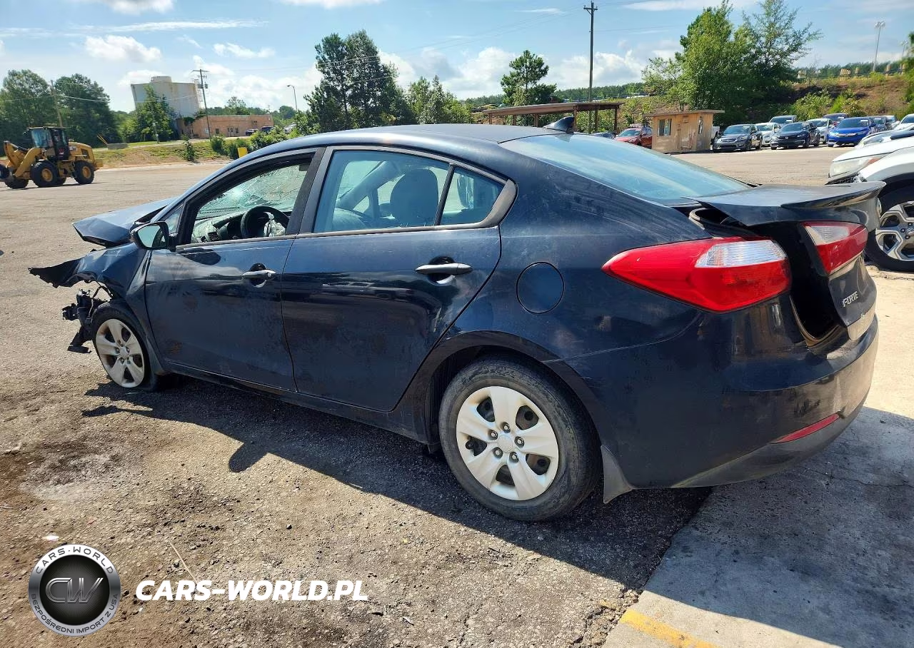 2016 Kia Forte Lx VIN:KNAFK4A66G5519613 - 2