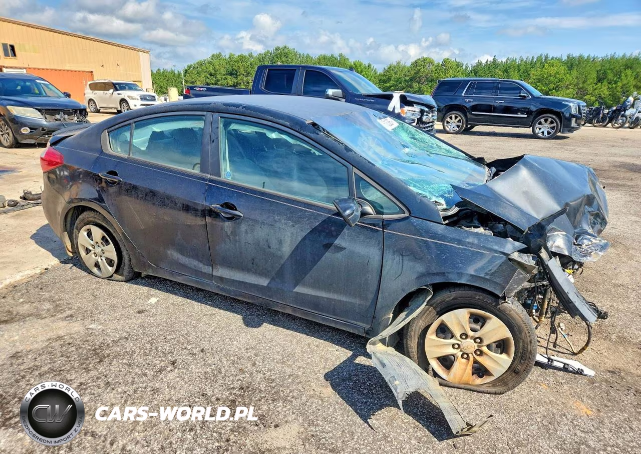 2016 Kia Forte Lx VIN:KNAFK4A66G5519613 - 4