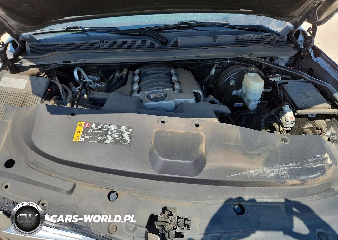2020 Cadillac Escalade Platinum VIN:1GYS3DKJ8LR115405 - 12