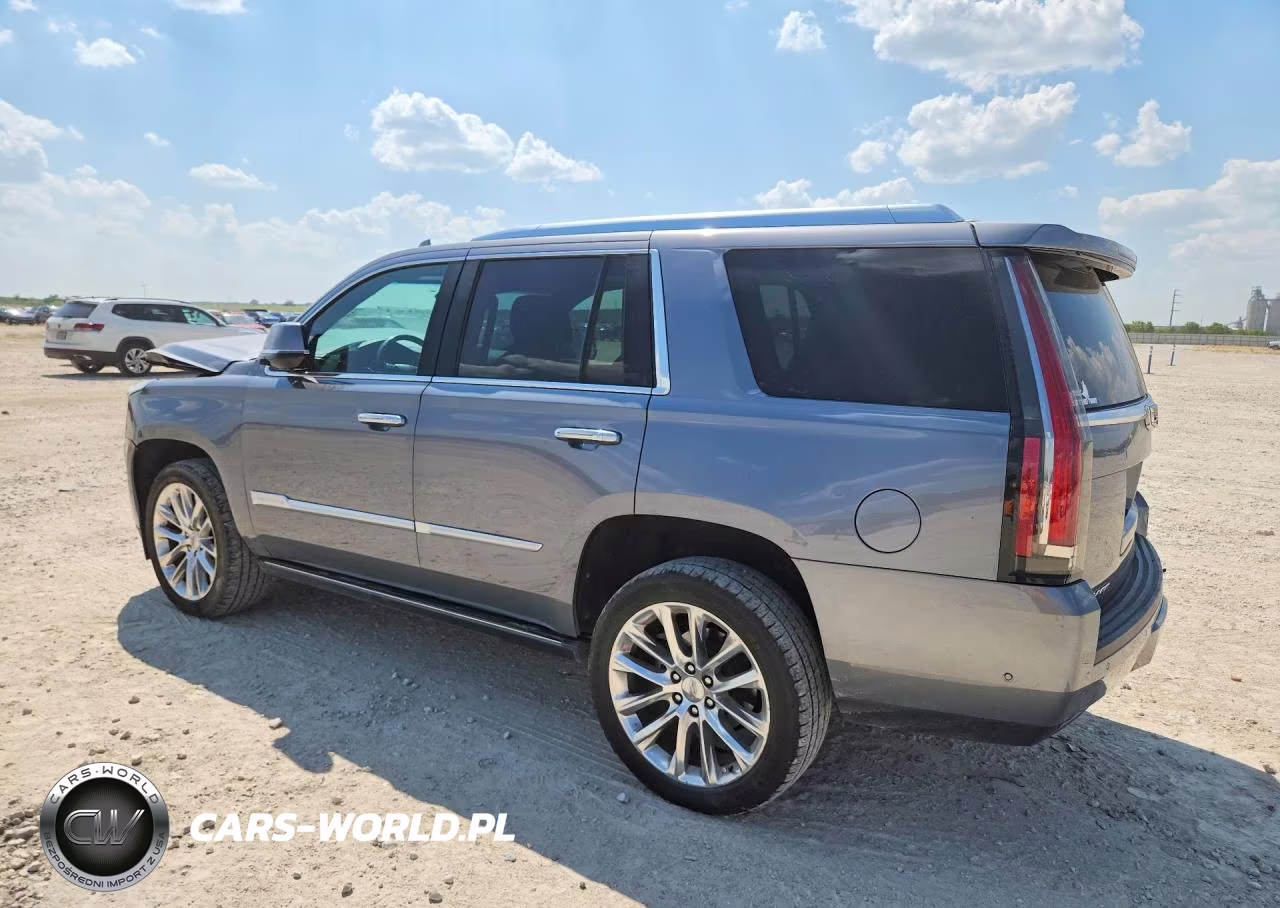 2020 Cadillac Escalade Platinum VIN:1GYS3DKJ8LR115405 - 2