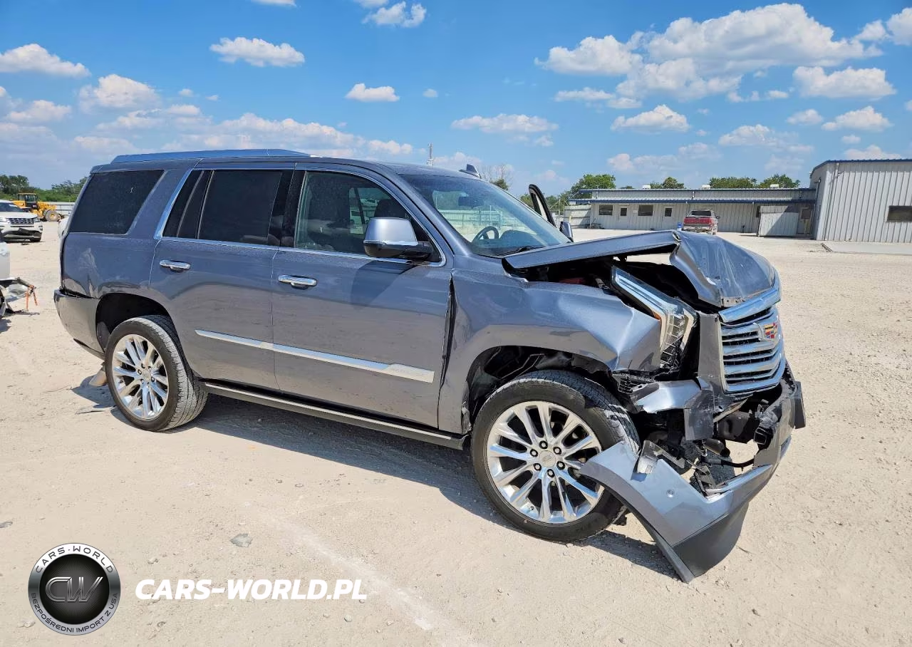 2020 Cadillac Escalade Platinum VIN:1GYS3DKJ8LR115405 - 4