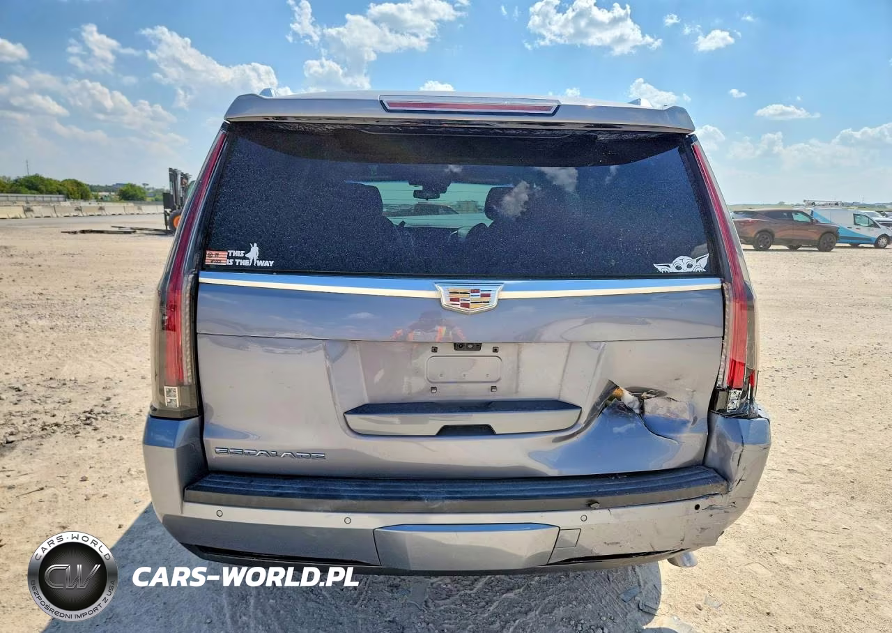 2020 Cadillac Escalade Platinum VIN:1GYS3DKJ8LR115405 - 6