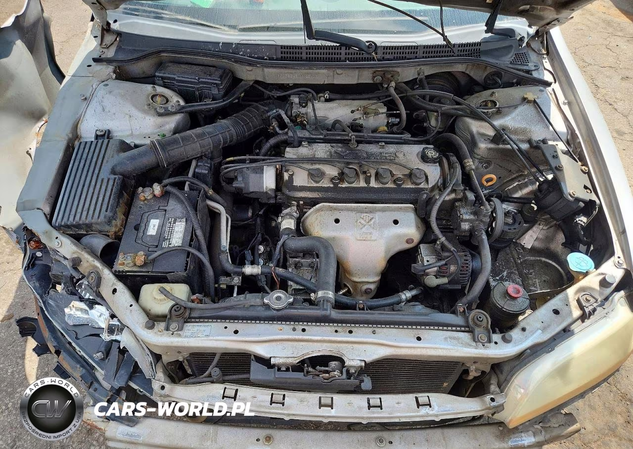 2001 Honda Accord Lx VIN:1HGCG56461A128403 - 11