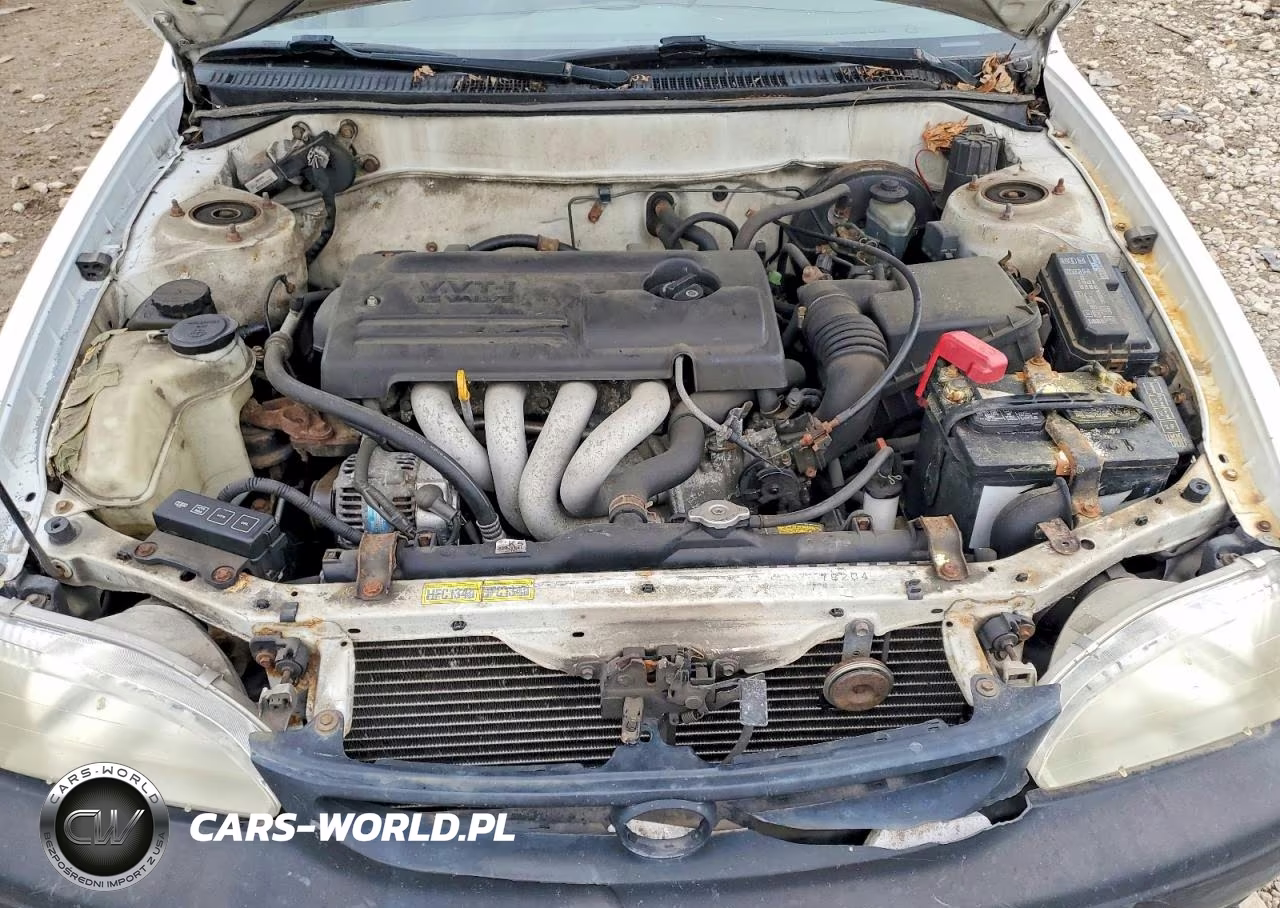 2000 Toyota Corolla Ve VIN:1NXBR12E3YZ344998 - 11