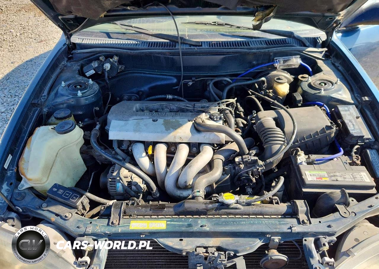 1998 Toyota Corolla Ve VIN:1NXBR12E4WZ137808 - 11