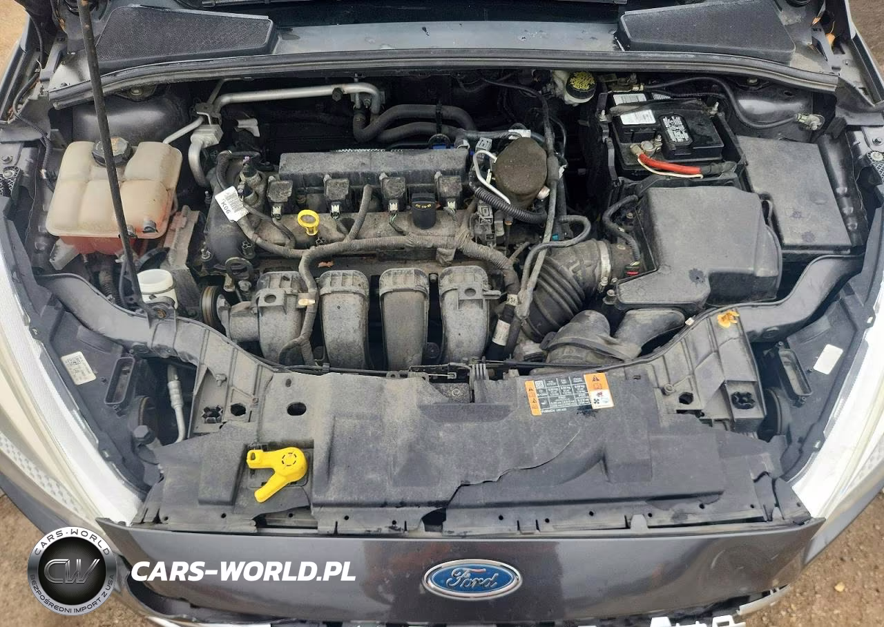 2016 Ford Focus Se VIN:1FADP3F23GL225857 - 11