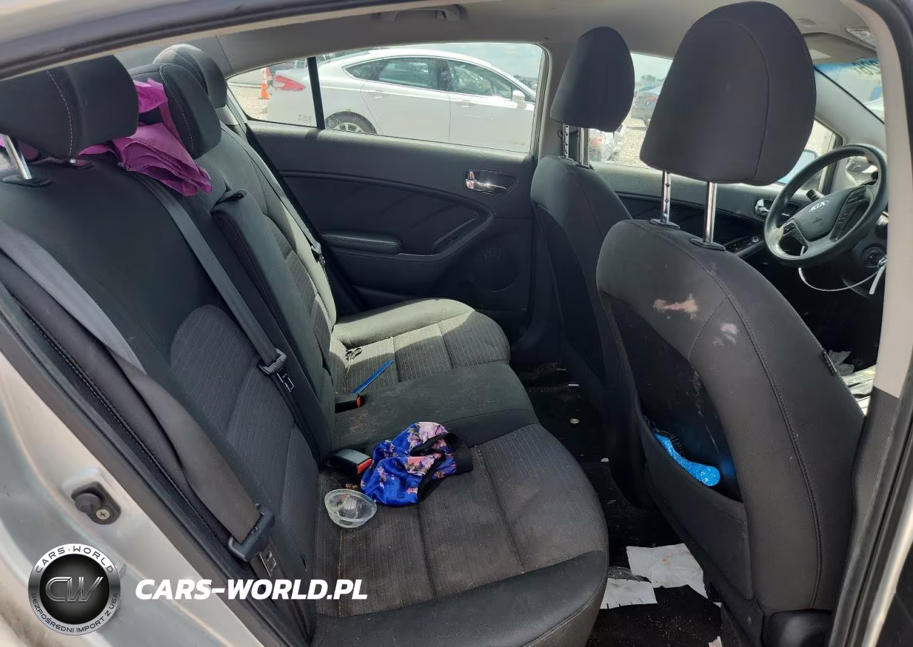 2014 Kia Forte Lx VIN:KNAFX4A69E5208787 - 10