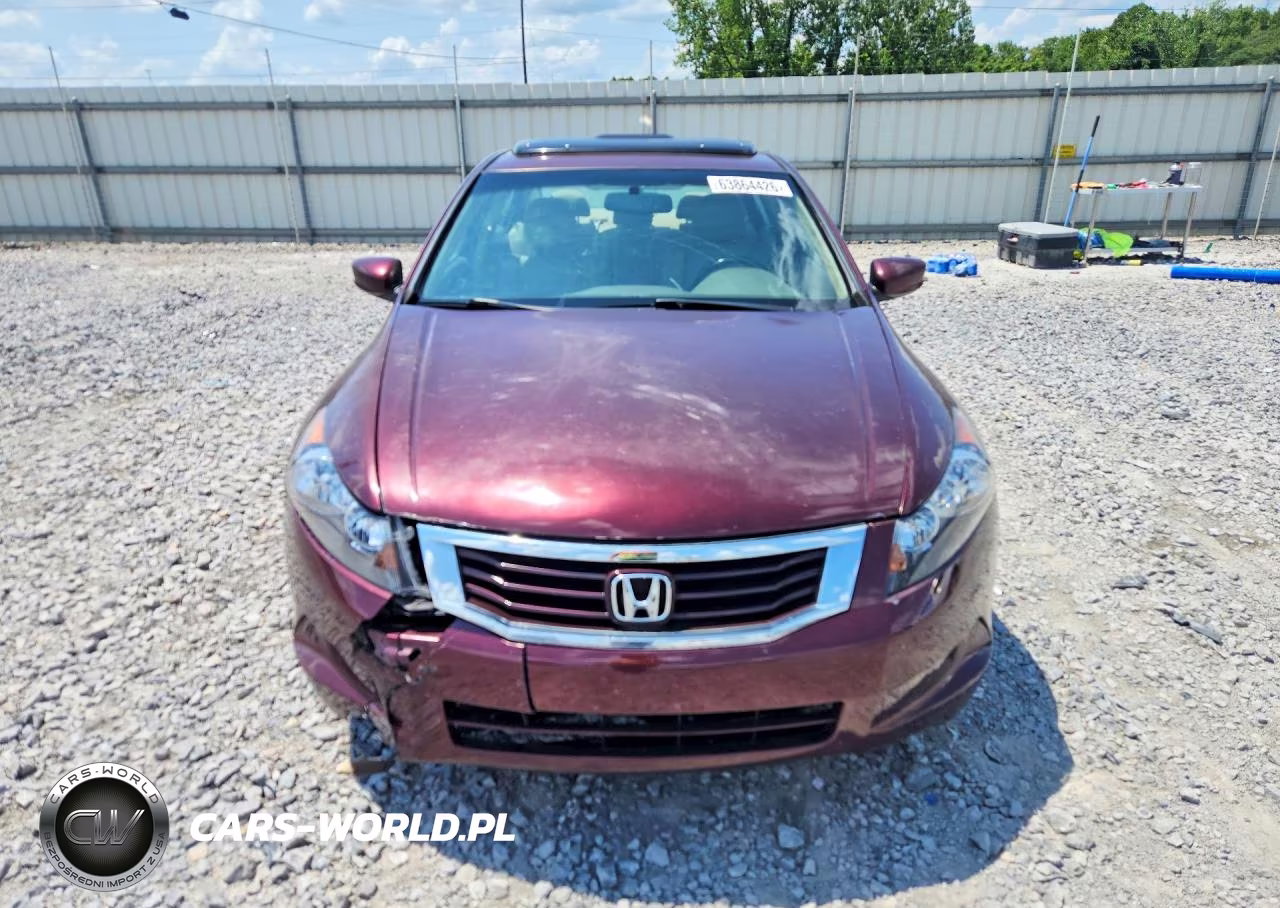 2010 Honda Accord Exl VIN:1HGCP2F82AA174358 - 5