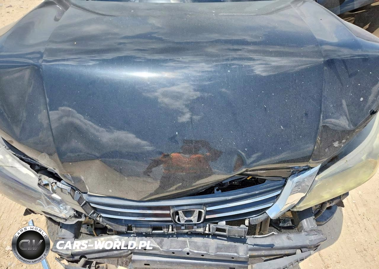 2013 Honda Accord Exl VIN:1HGCR3F88DA045433 - 11