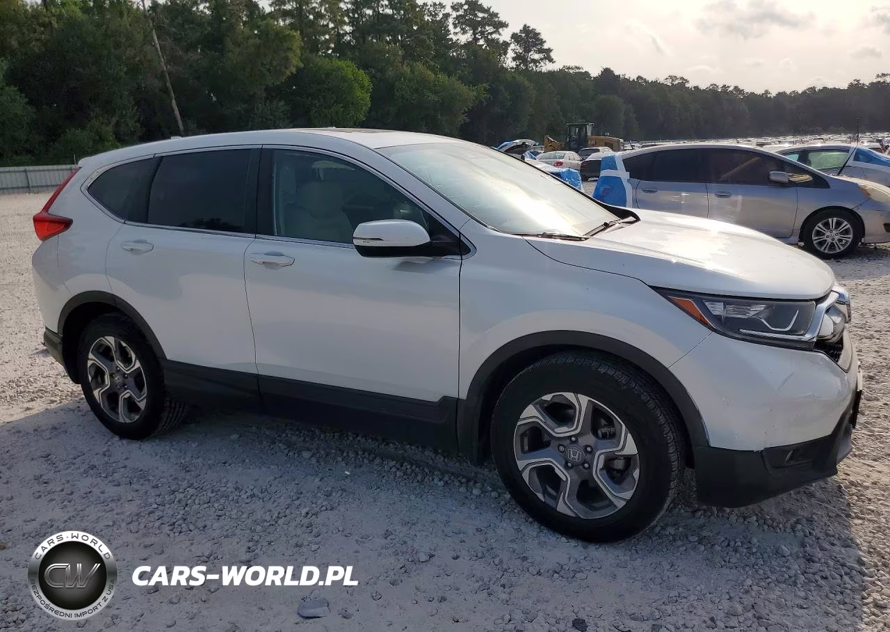2019 Honda Cr-V Exl VIN:7FARW1H86KE039626 - 4