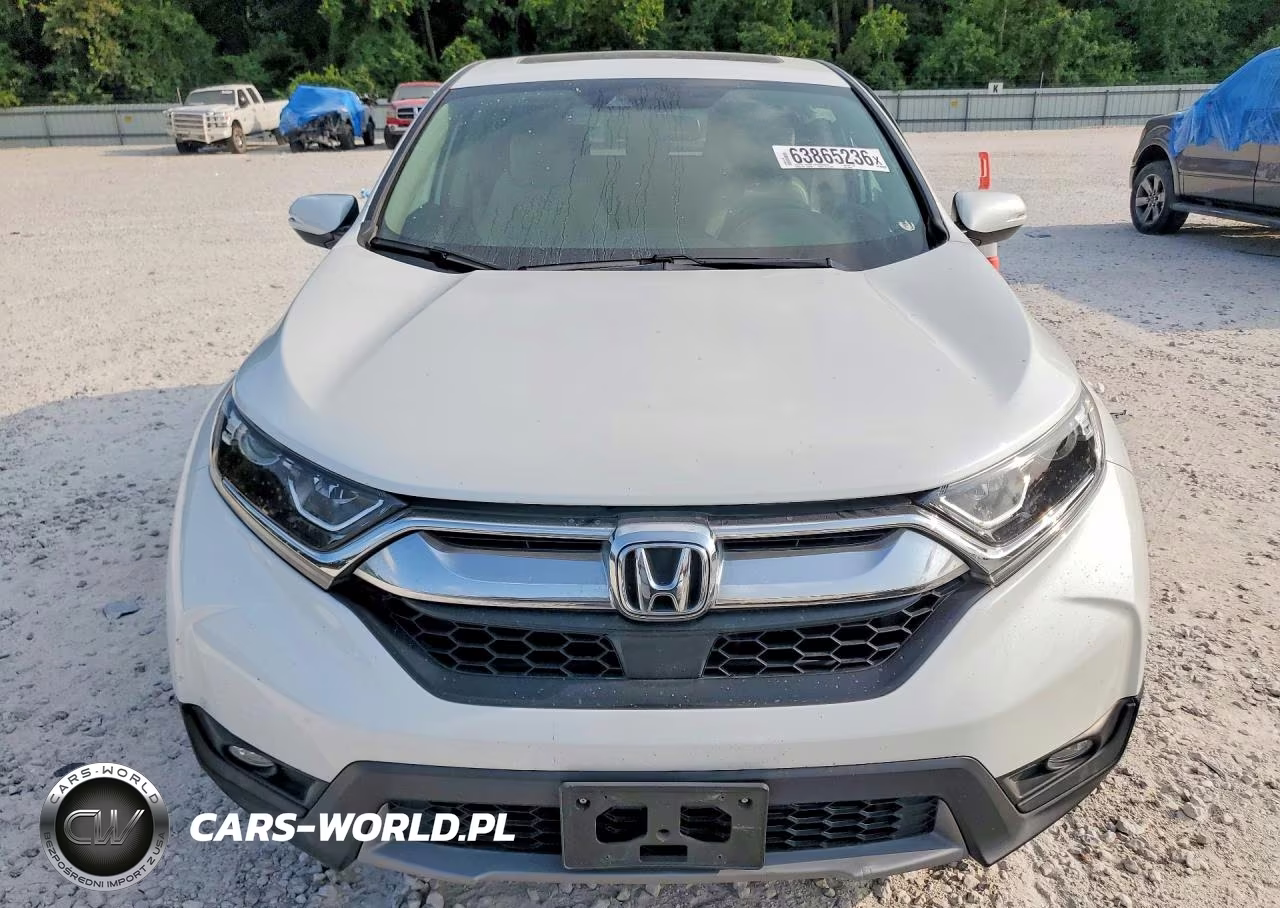 2019 Honda Cr-V Exl VIN:7FARW1H86KE039626 - 5