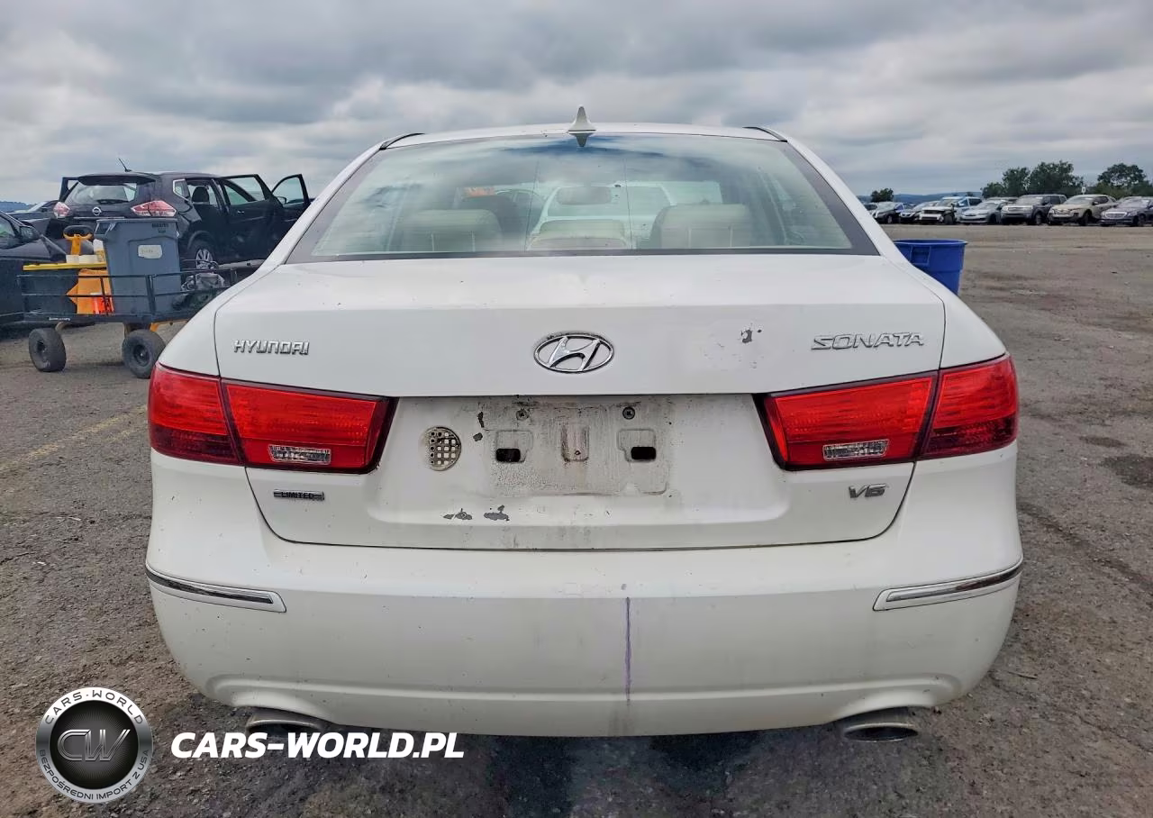 2010 Hyundai Sonata Limited V6 VIN:5NPEU4AF8AH599299 - 6