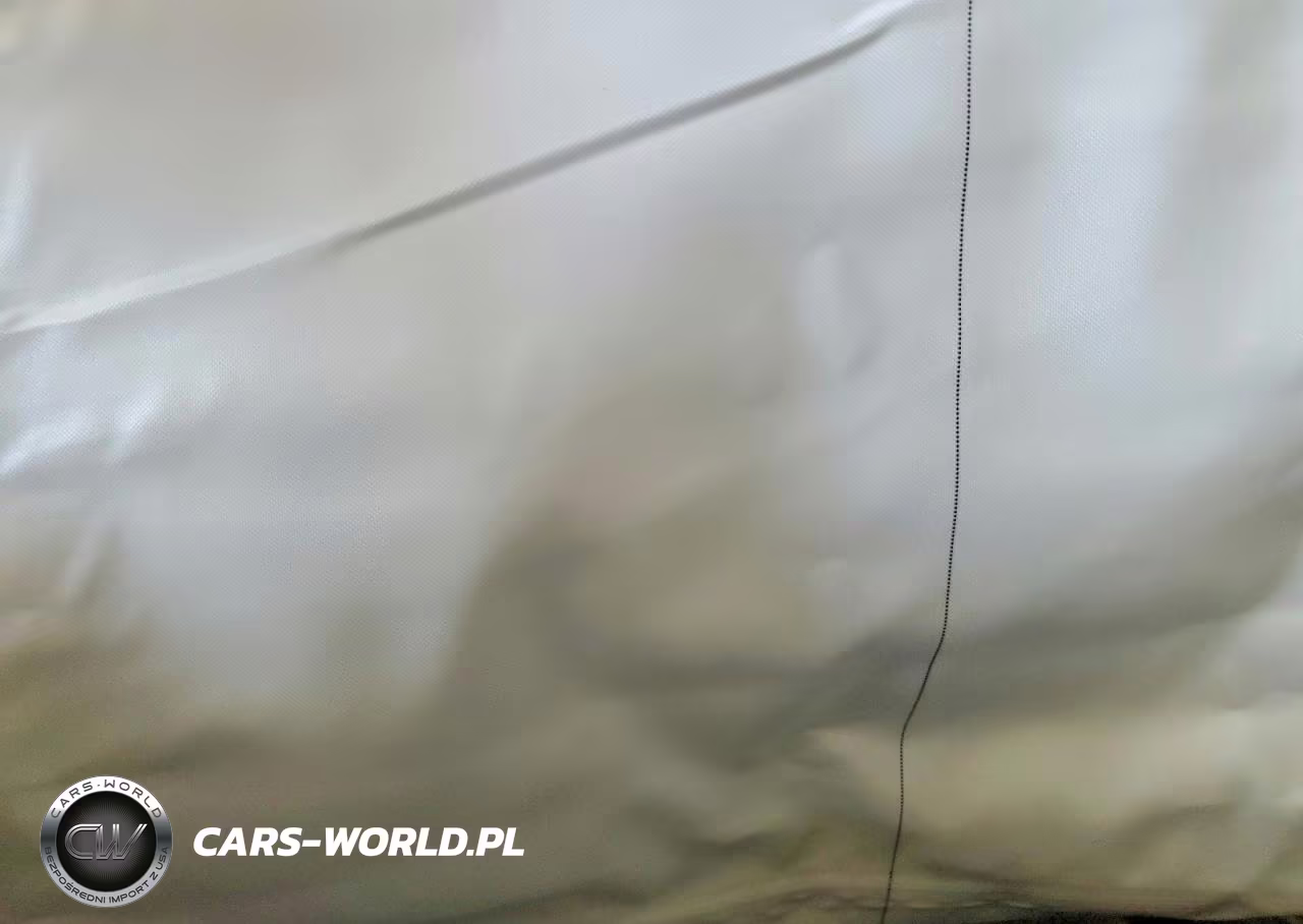 2021 Tesla Model 3 VIN:5YJ3E1EB3MF848816 - 10