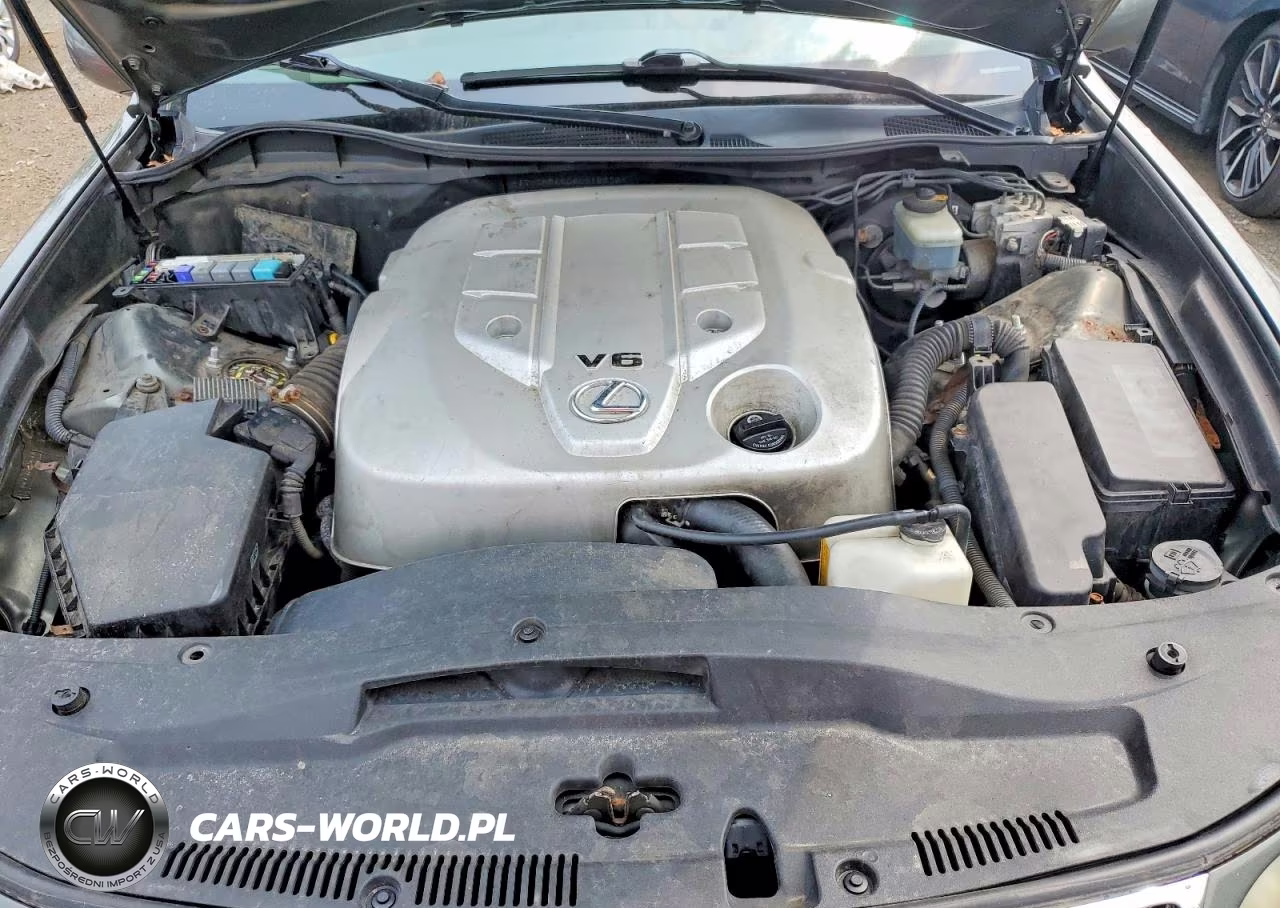 2006 Lexus Gs 300 VIN:JTHCH96S060012305 - 11