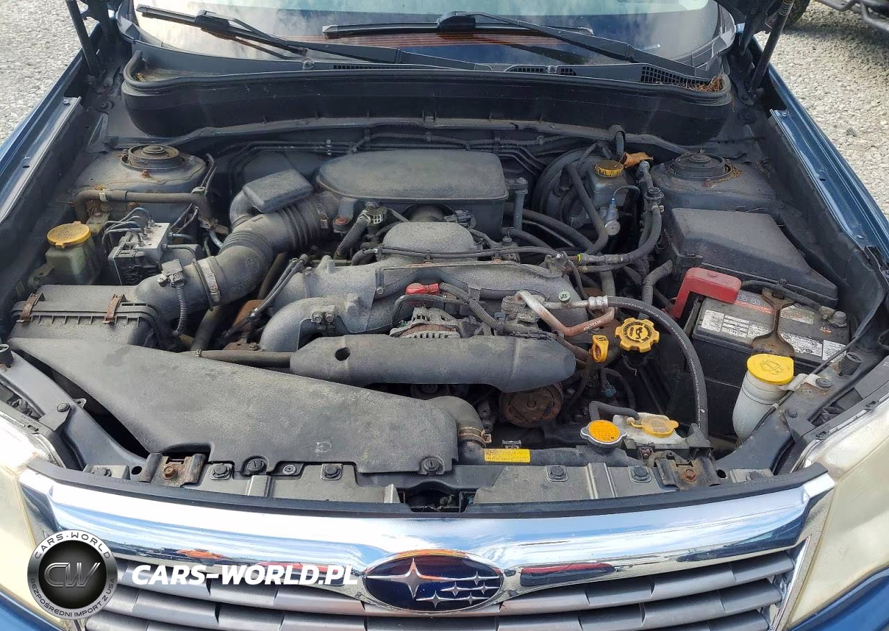 2010 Subaru Forester 2.5X Premium VIN:JF2SH6CC6AH713709 - 12