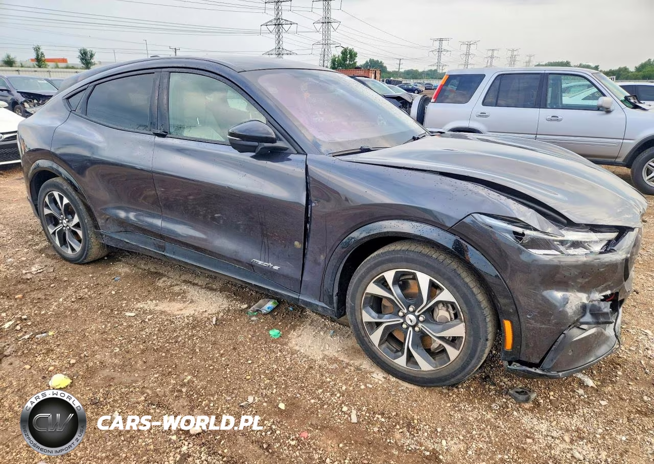 2021 Ford Mustang Mach-E Premium VIN:3FMTK3RM5MMA56898 - 4