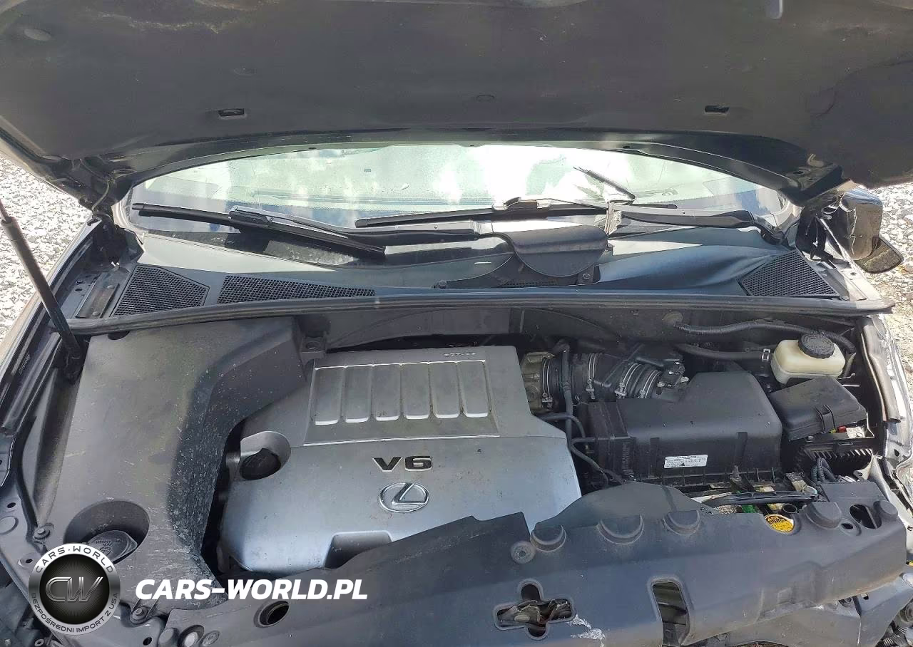 2009 Lexus Rx 350 VIN:2T2GK31U99C080084 - 12