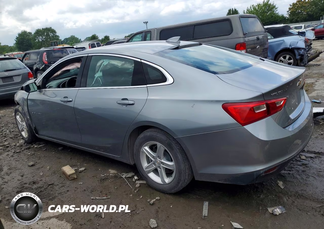 2023 Chevrolet Malibu Lt VIN:1G1ZD5ST4PF151830 - 2