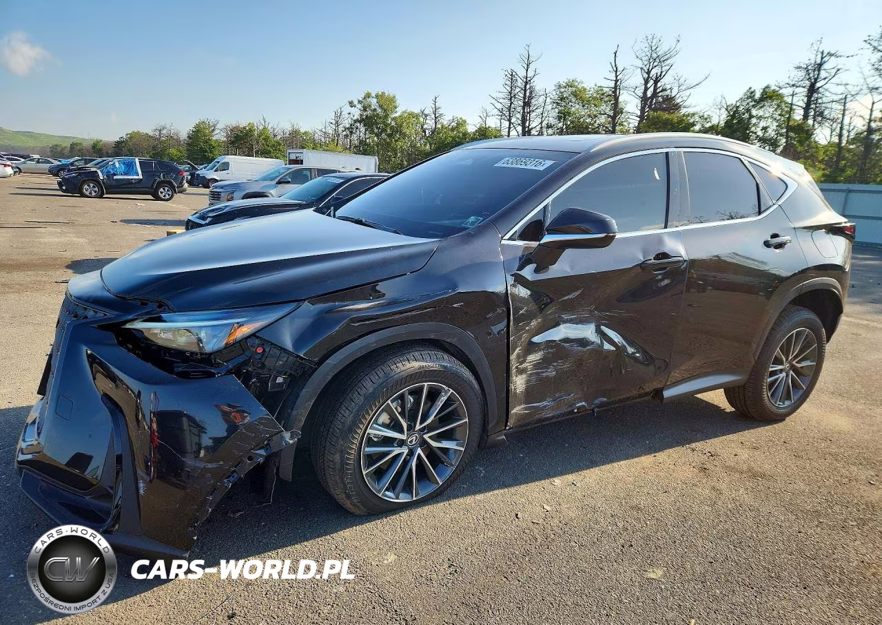 2025 Lexus Nx 350 Base VIN:2T2AGCEZ7SC094262 - 1