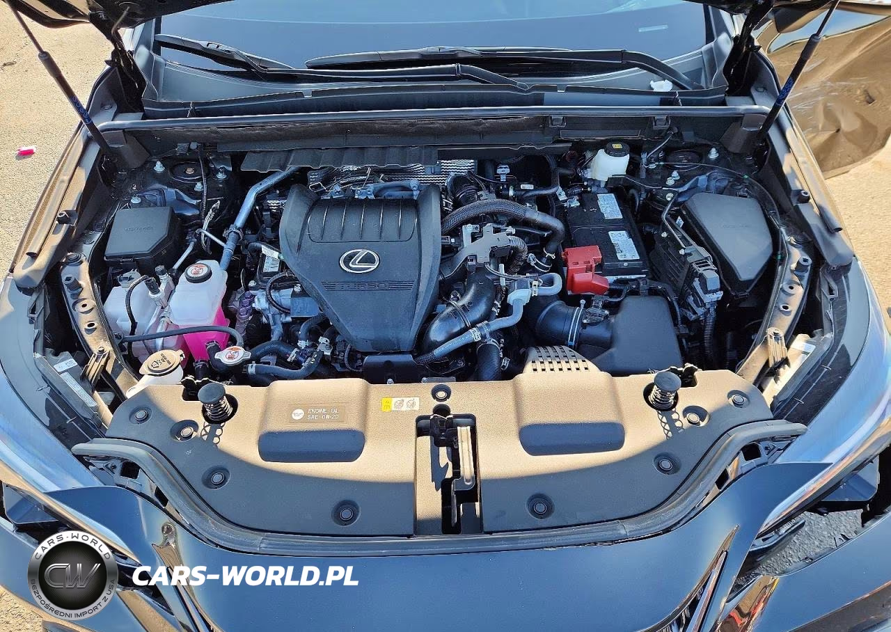 2025 Lexus Nx 350 Base VIN:2T2AGCEZ7SC094262 - 12