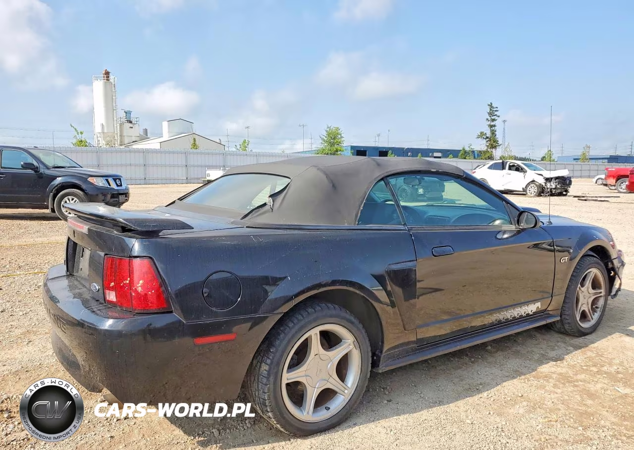 2002 Ford Mustang Gt VIN:1FAFP45XX2F114385 - 3
