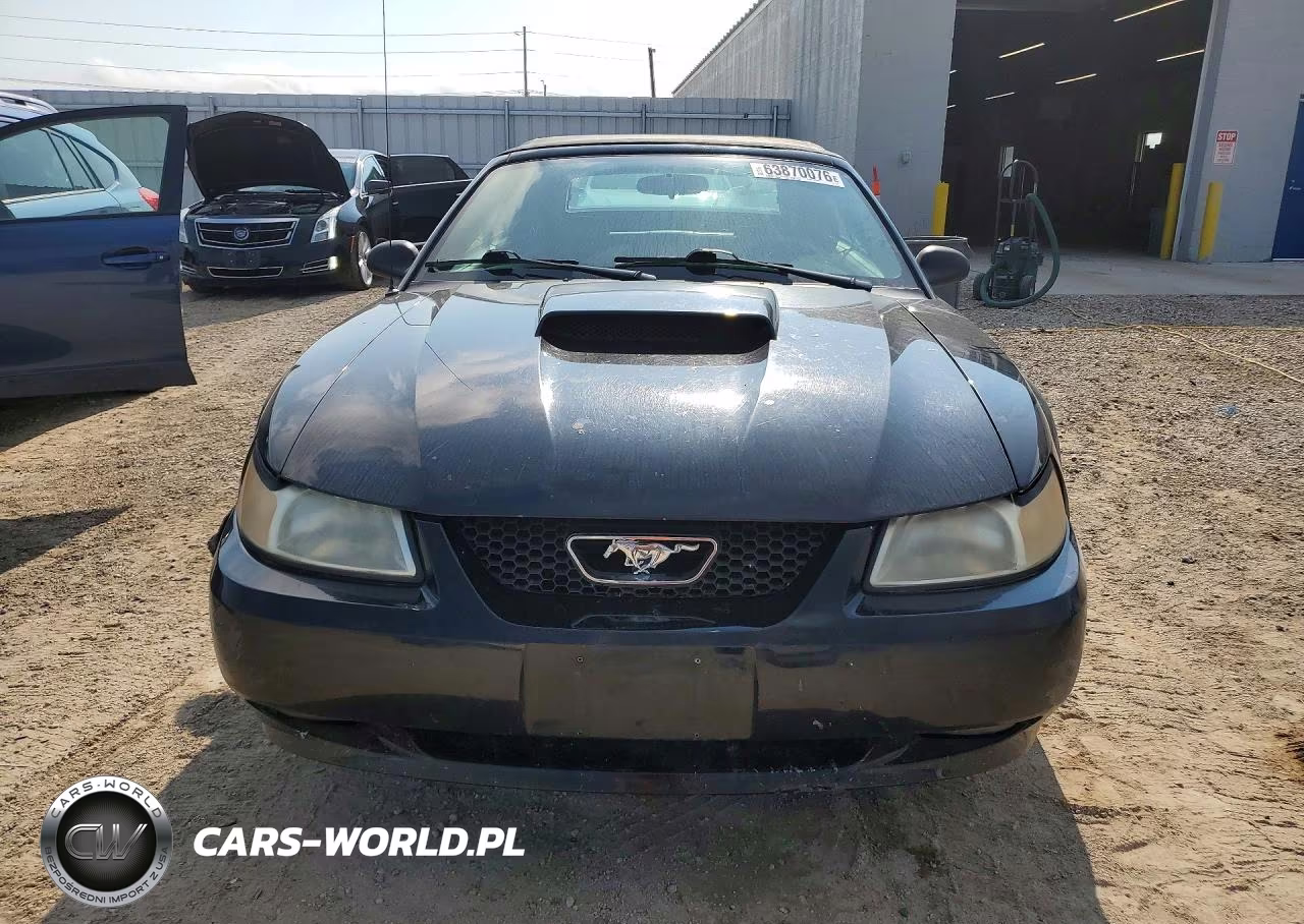 2002 Ford Mustang Gt VIN:1FAFP45XX2F114385 - 5