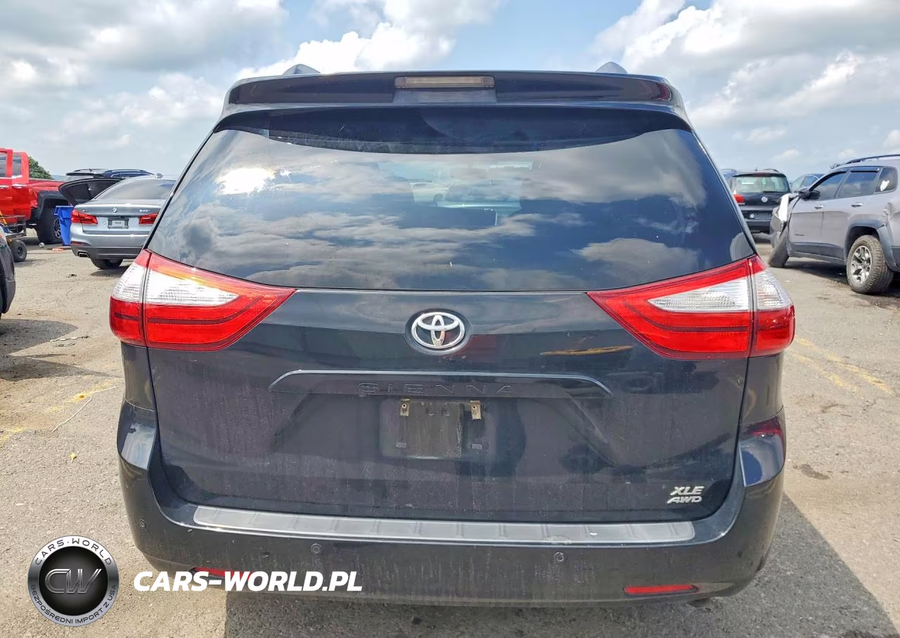 2016 Toyota Sienna Xle Premium 7-Passenger VIN:5TDDK3DC5GS139808 - 6