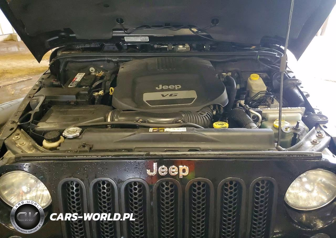 2014 Jeep Wrangler Unlimited Sahara VIN:1C4BJWEG6EL193534 - 12
