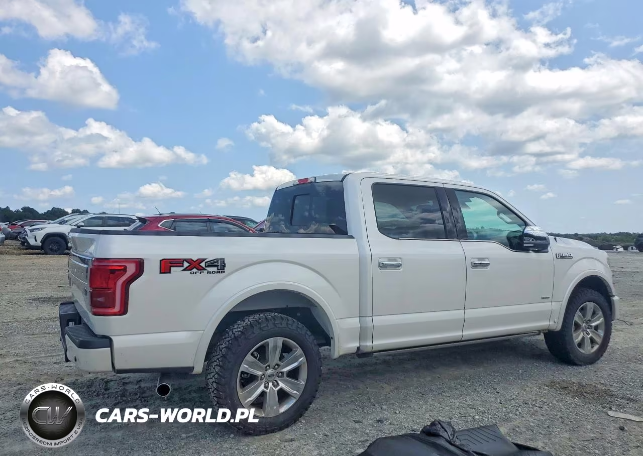 2017 Ford F150 Supercrew VIN:1FTEW1EG3HFB29097 - 3