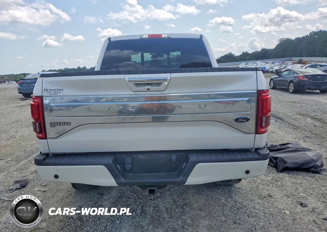 2017 Ford F150 Supercrew VIN:1FTEW1EG3HFB29097 - 6