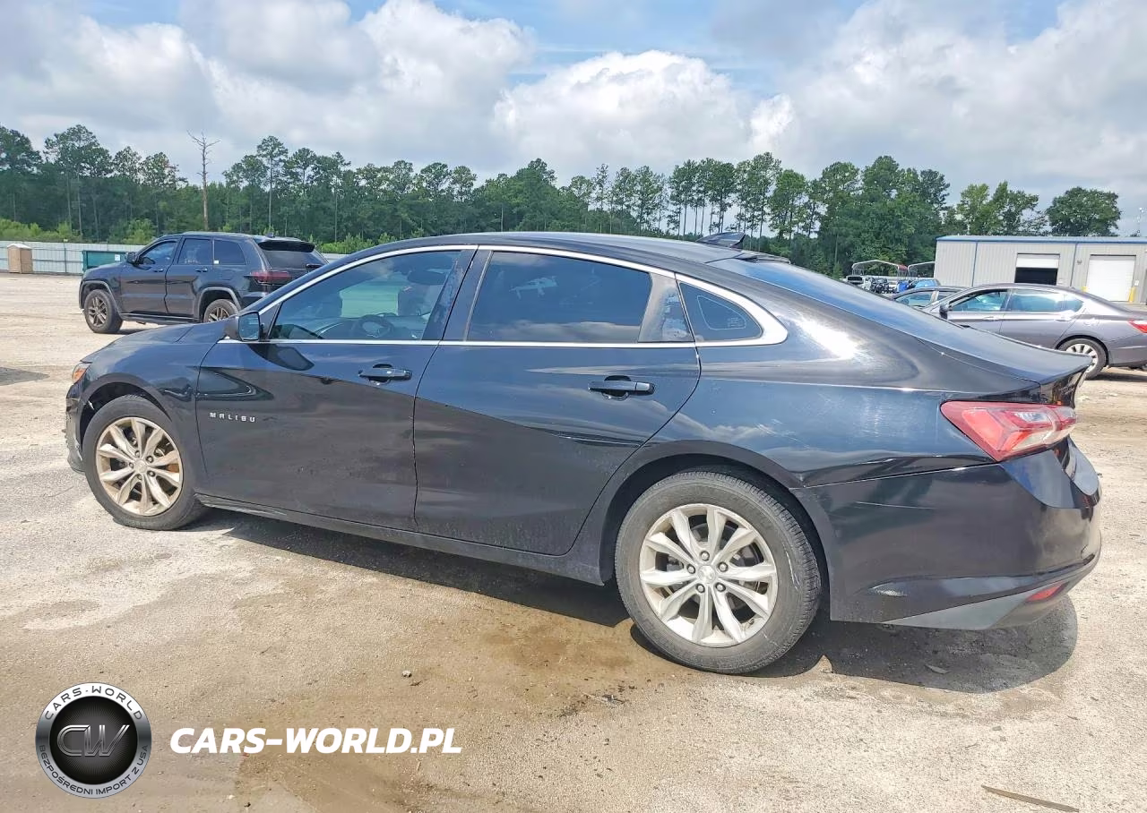 2019 Chevrolet Malibu Lt VIN:1G1ZD5ST1KF115764 - 2