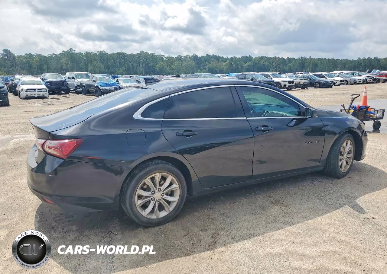 2019 Chevrolet Malibu Lt VIN:1G1ZD5ST1KF115764 - 3