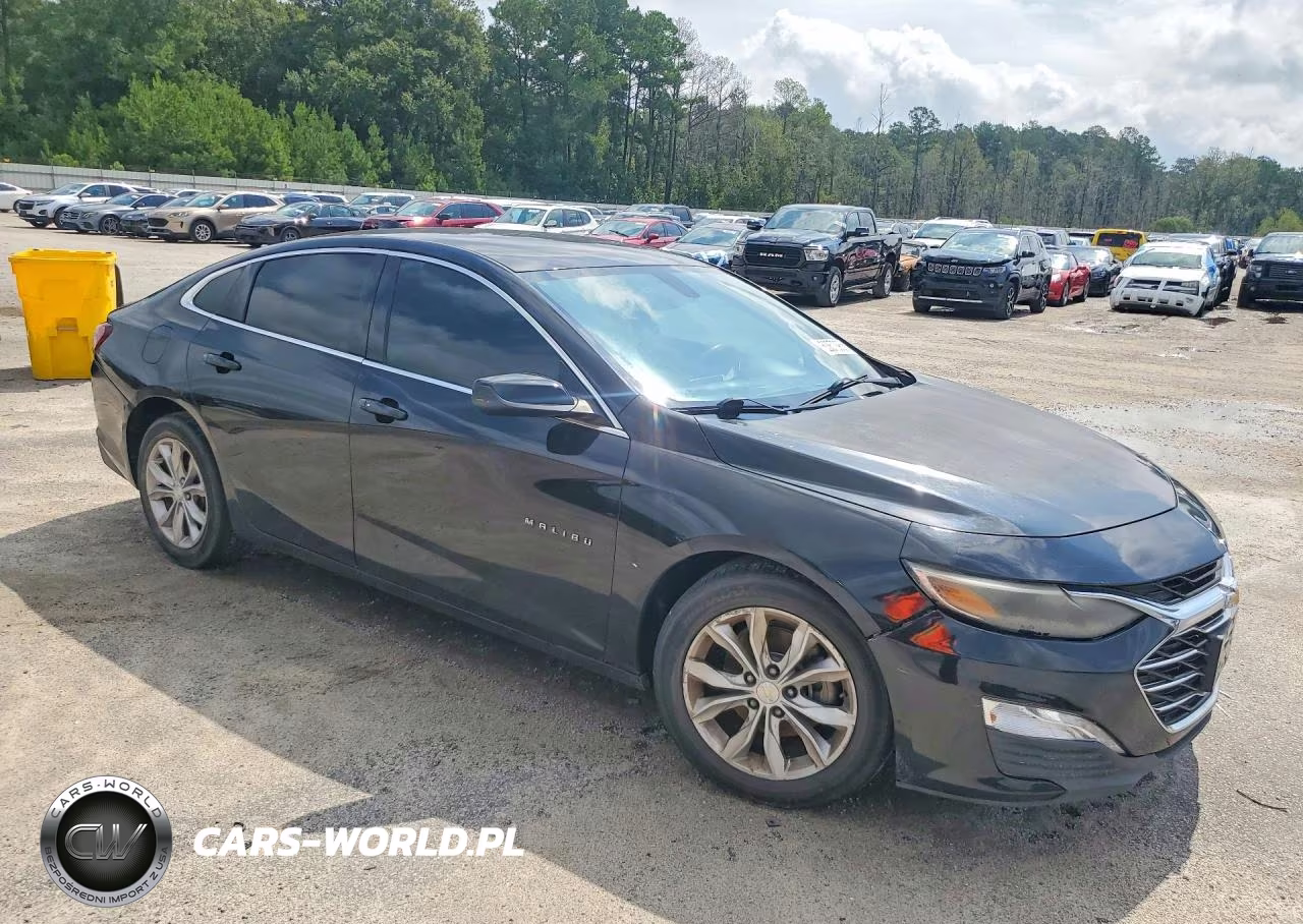 2019 Chevrolet Malibu Lt VIN:1G1ZD5ST1KF115764 - 4