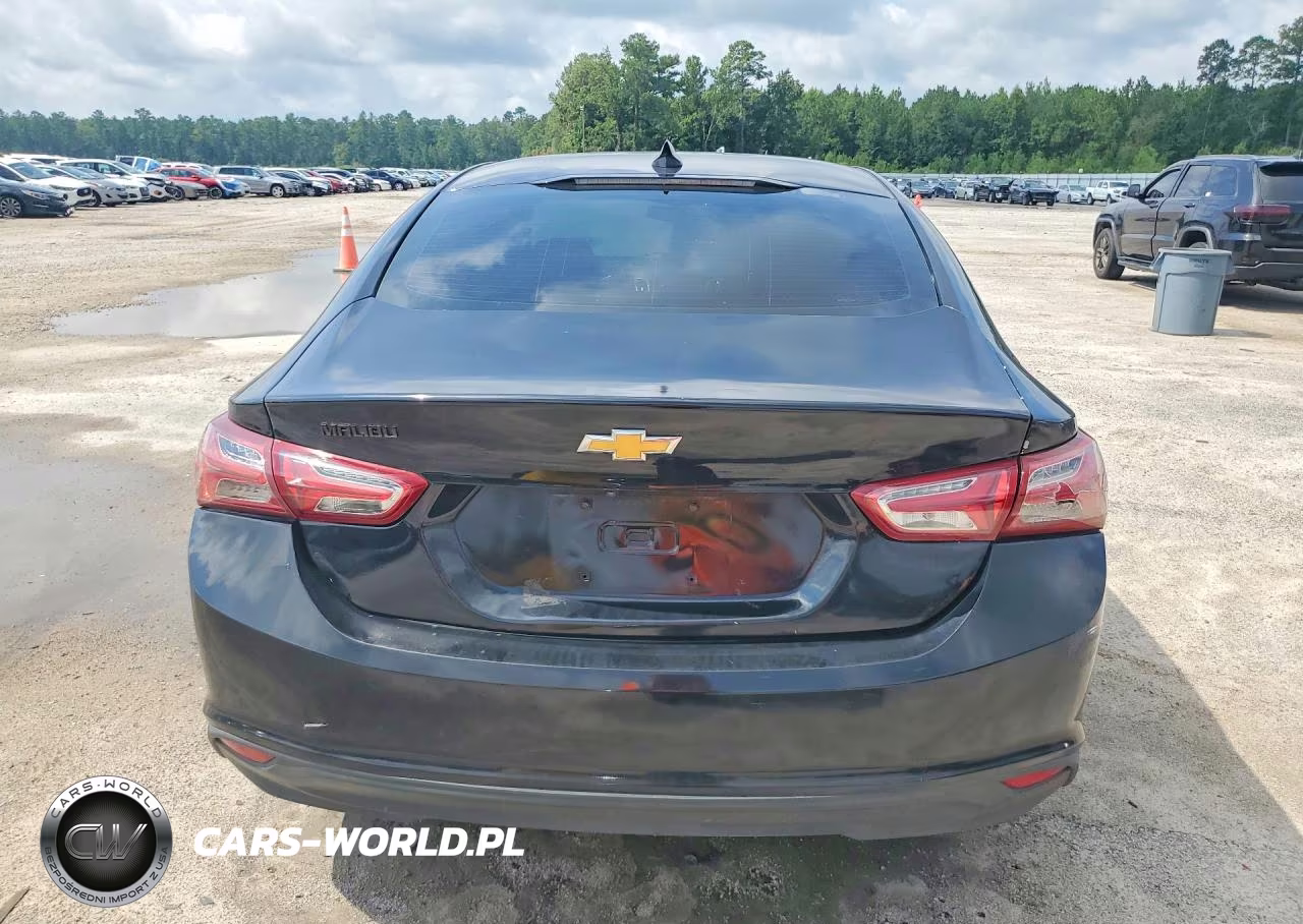 2019 Chevrolet Malibu Lt VIN:1G1ZD5ST1KF115764 - 6