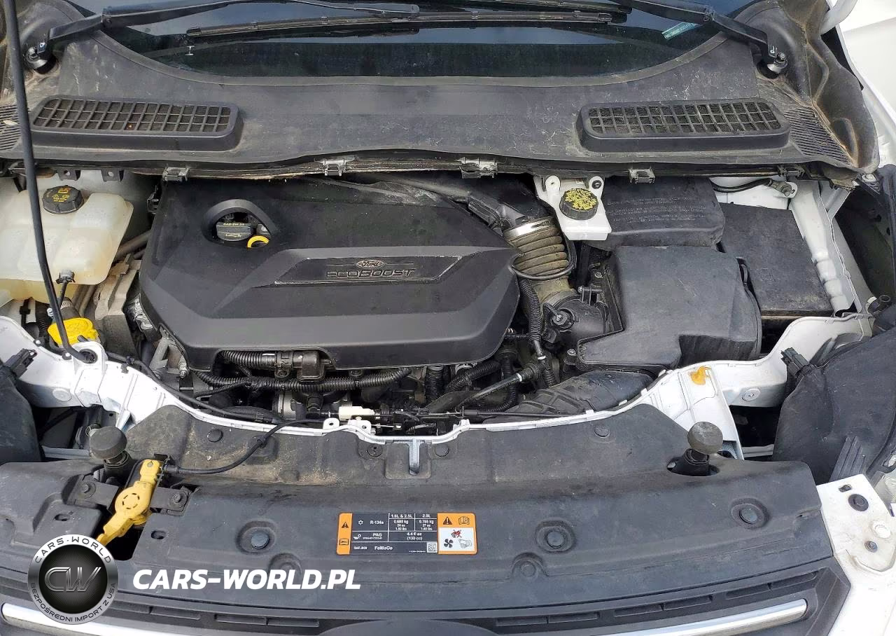2014 Ford Escape Se VIN:1FMCU0GX8EUD51416 - 11