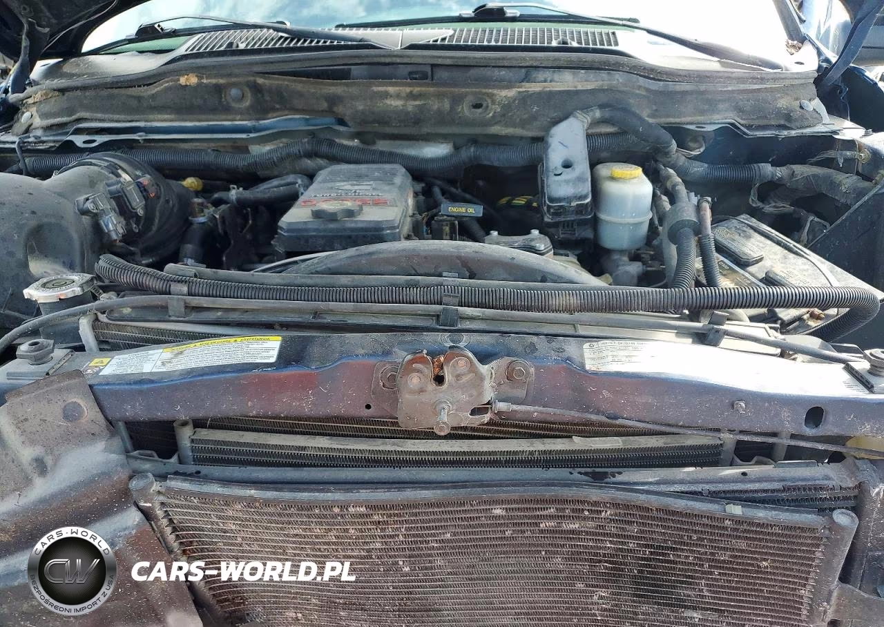 2009 Dodge Ram 2500 VIN:3D7KS28L19G552215 - 11