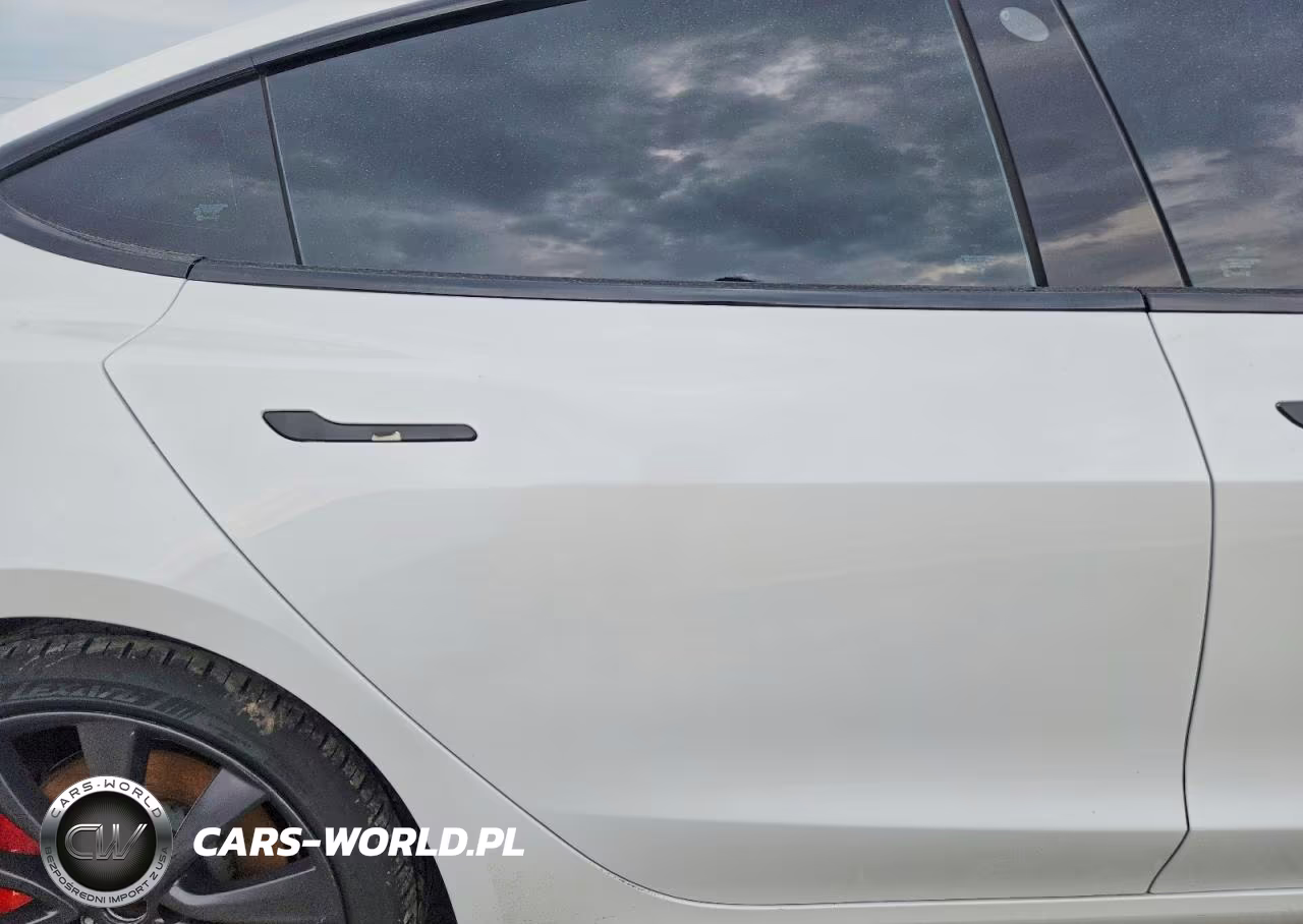 2020 Tesla Model 3 VIN:5YJ3E1EC9LF624733 - 10