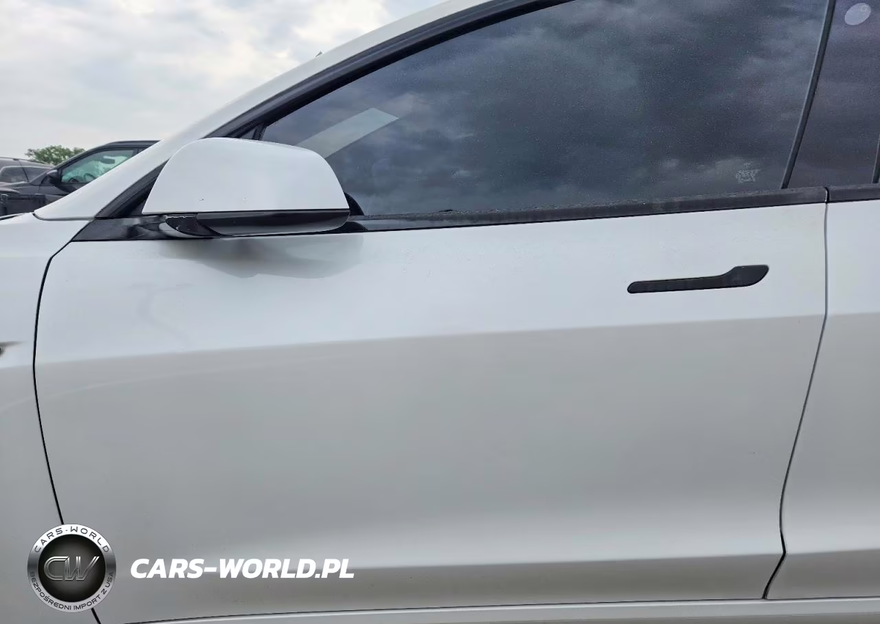 2020 Tesla Model 3 VIN:5YJ3E1EC9LF624733 - 7