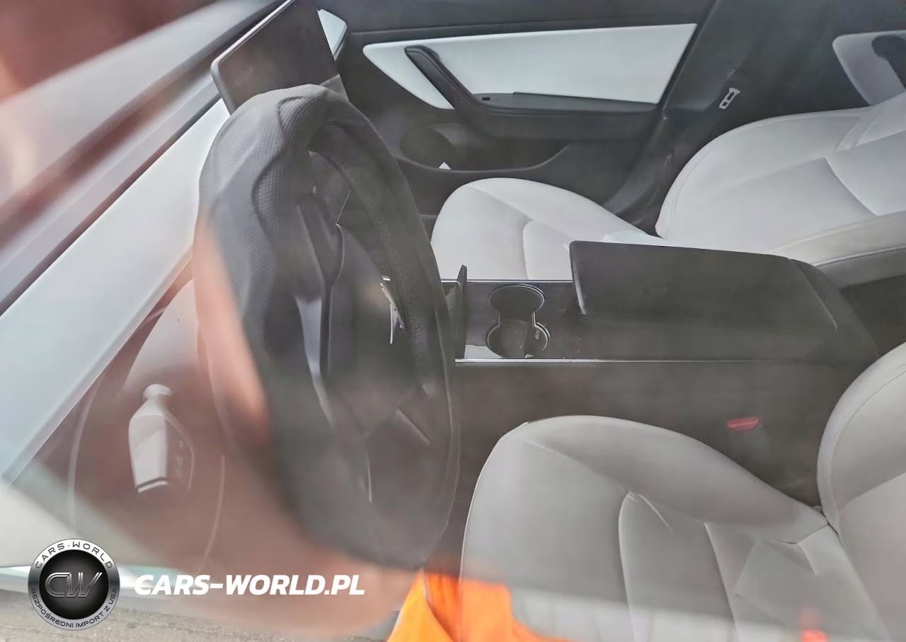 2020 Tesla Model 3 VIN:5YJ3E1EC9LF624733 - 8