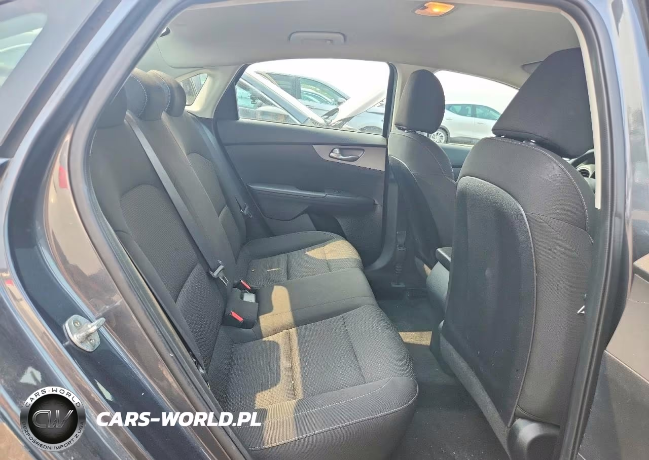 2020 Kia Forte Fe VIN:3KPF24ADXLE191466 - 10