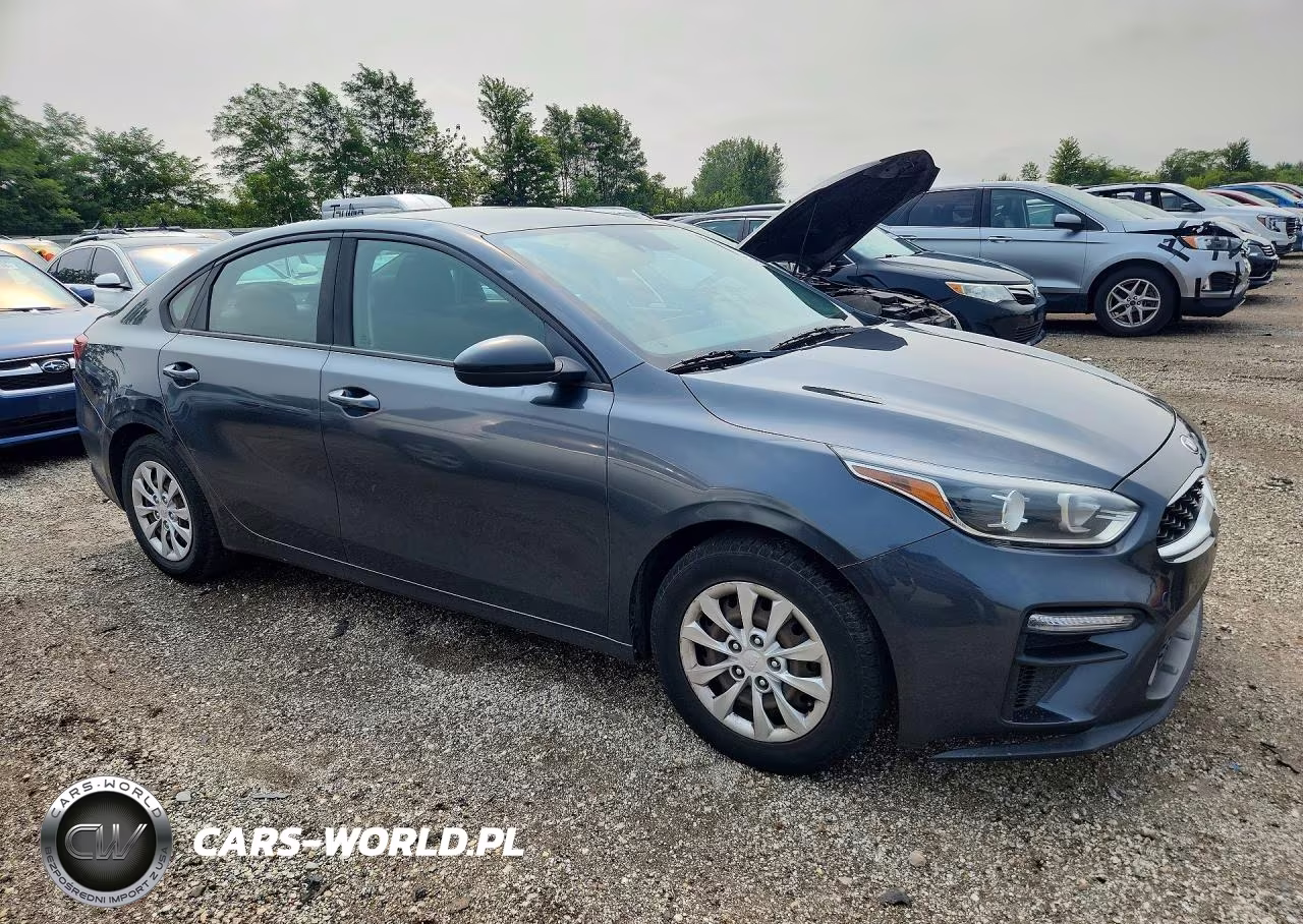 2020 Kia Forte Fe VIN:3KPF24ADXLE191466 - 4