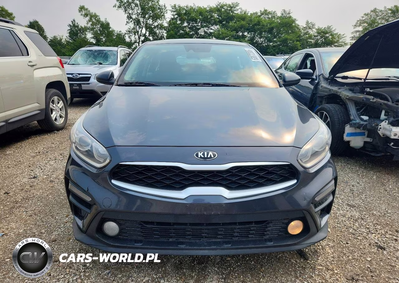 2020 Kia Forte Fe VIN:3KPF24ADXLE191466 - 5