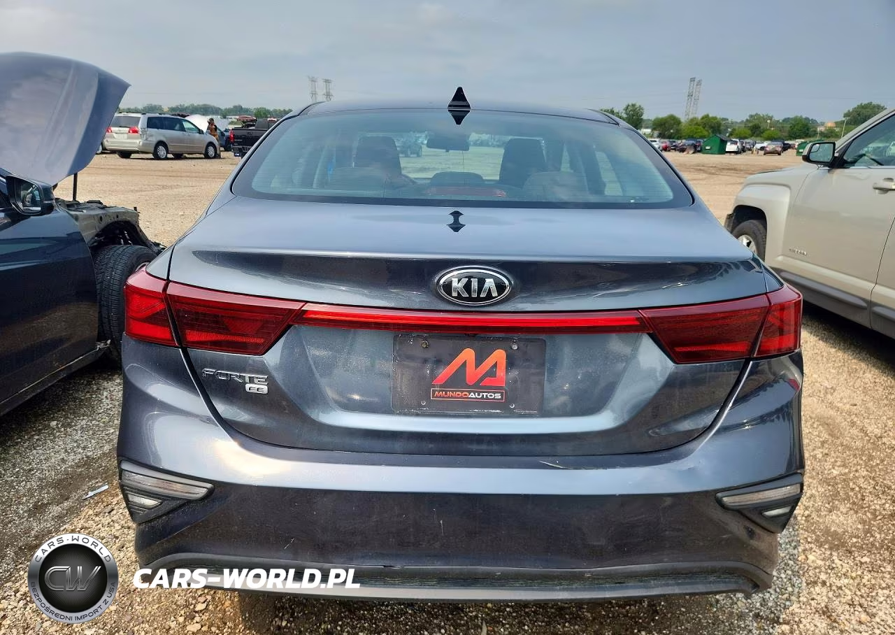 2020 Kia Forte Fe VIN:3KPF24ADXLE191466 - 6