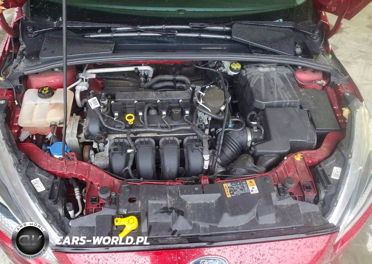 2015 Ford Focus Se VIN:1FADP3K26FL251437 - 11